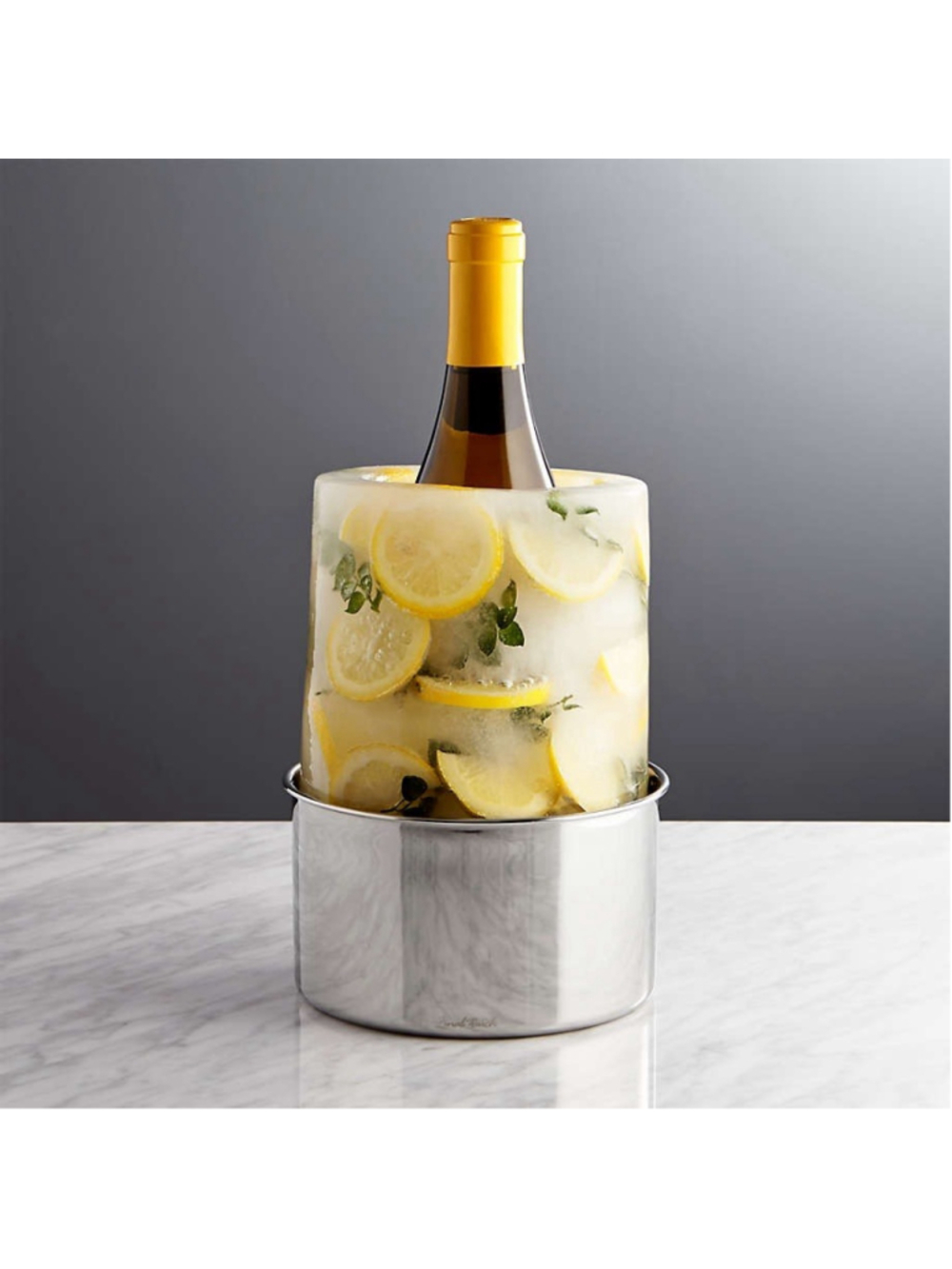 Crate & Barrel Ice Mold Wine Bottle Chiller DIY for Wine Champagne Liquor New